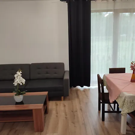 Wilkowyja Apartament *